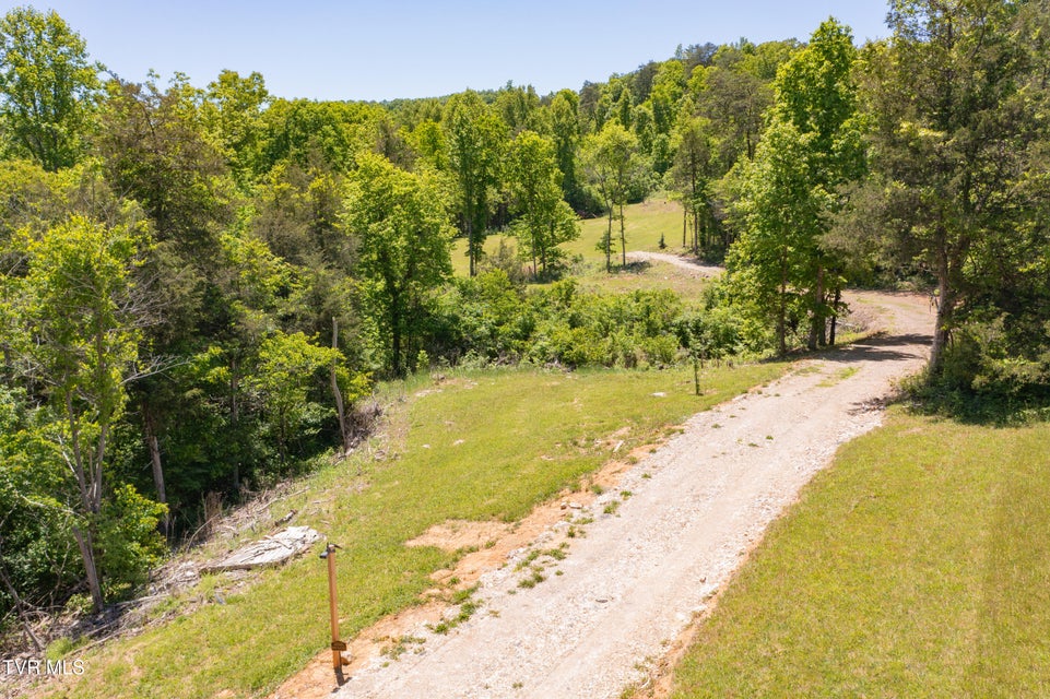 Photo #40: 882 Walnut Grove Road