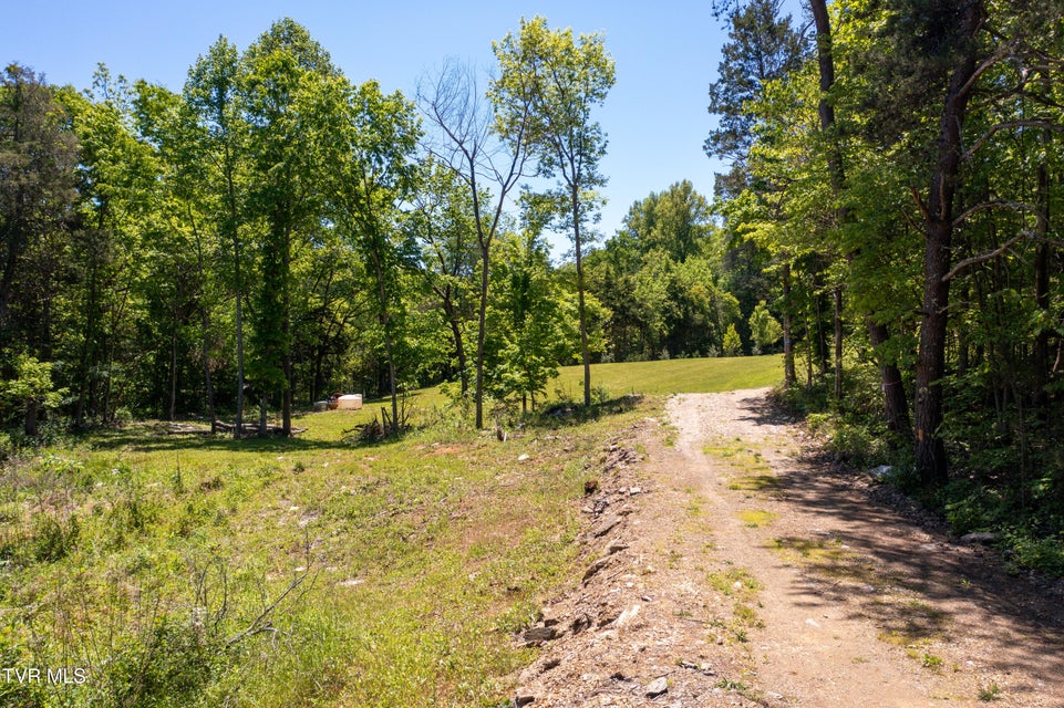Photo #44: 882 Walnut Grove Road