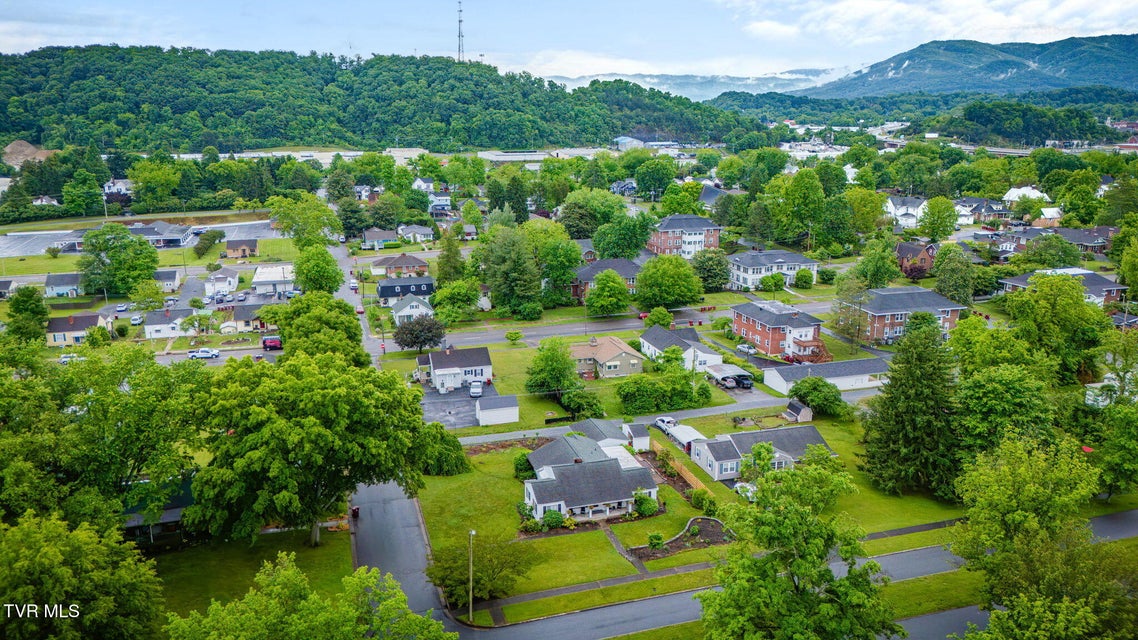 Photo #33: 706 Holston Avenue