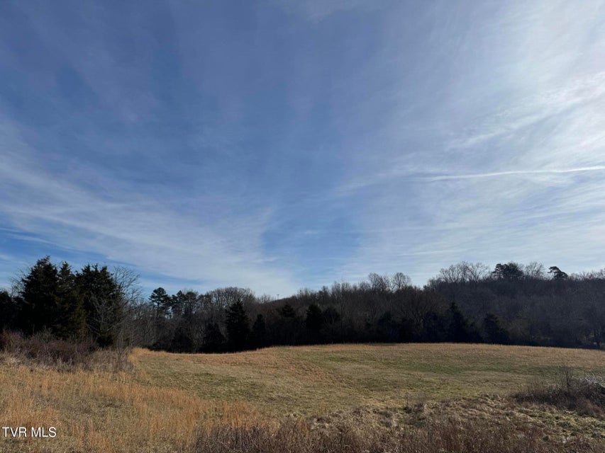 Photo #8: 165 Wilkerson Road