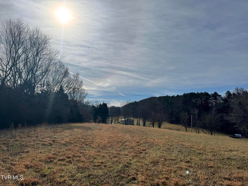 Photo #13: 165 Wilkerson Road