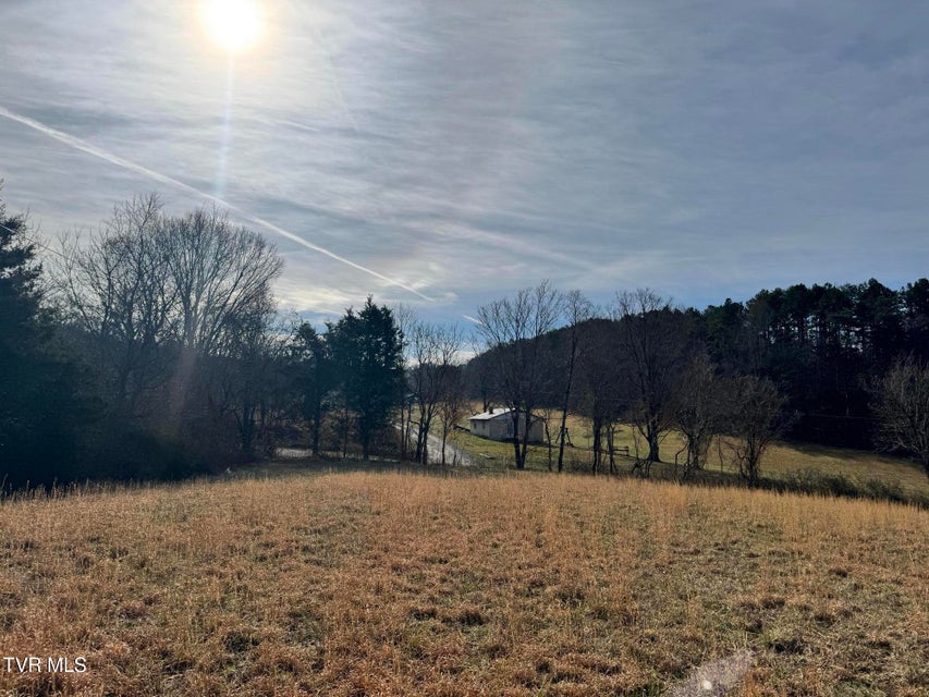 Photo #15: 165 Wilkerson Road