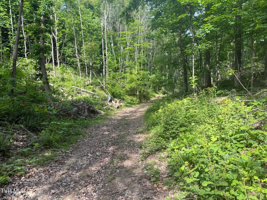 Photo #9: 955 Old Hall Road