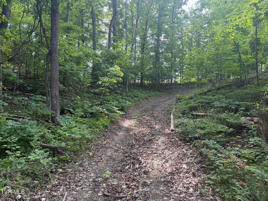 Photo #8: 955 Old Hall Road