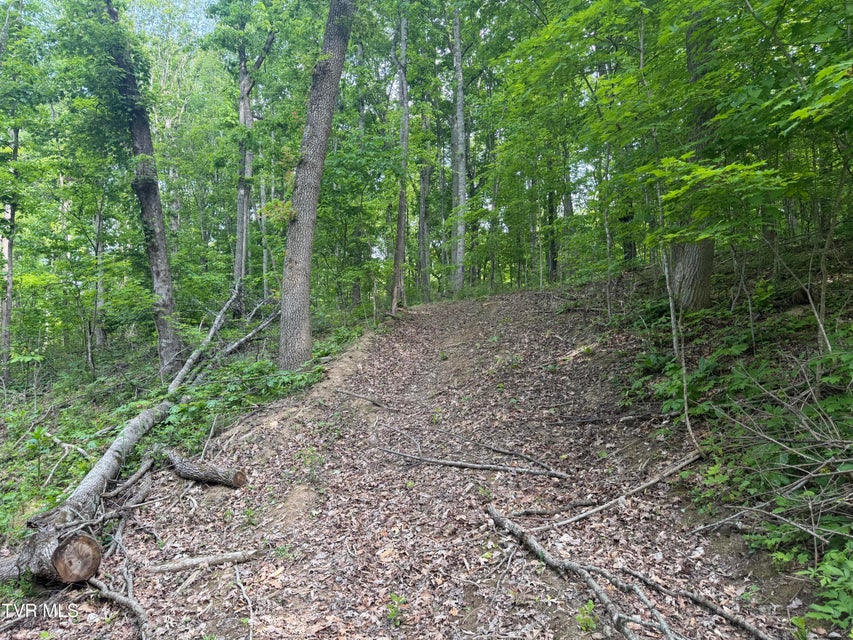 Photo #10: 955 Old Hall Road