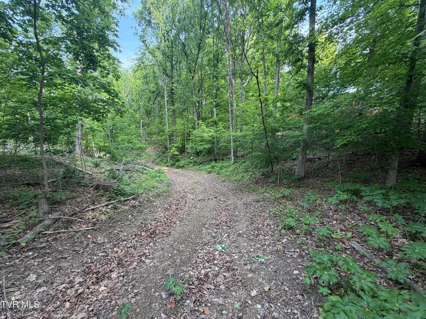 Photo #7: 955 Old Hall Road
