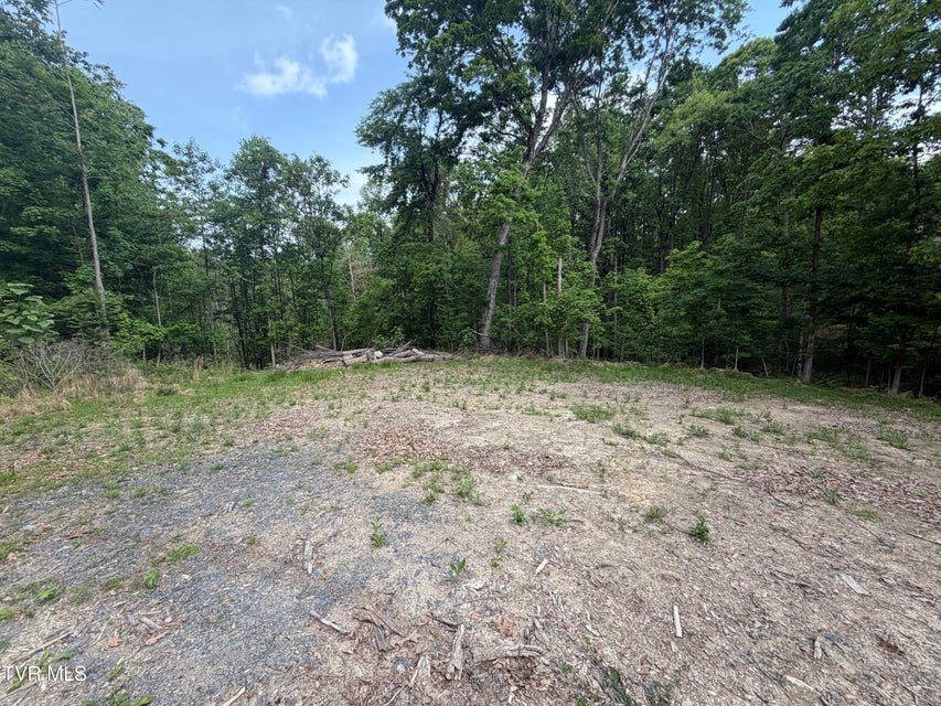 Photo #4: 955 Old Hall Road