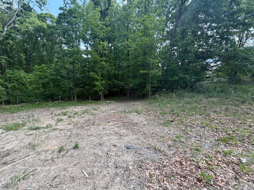 Photo #5: 955 Old Hall Road