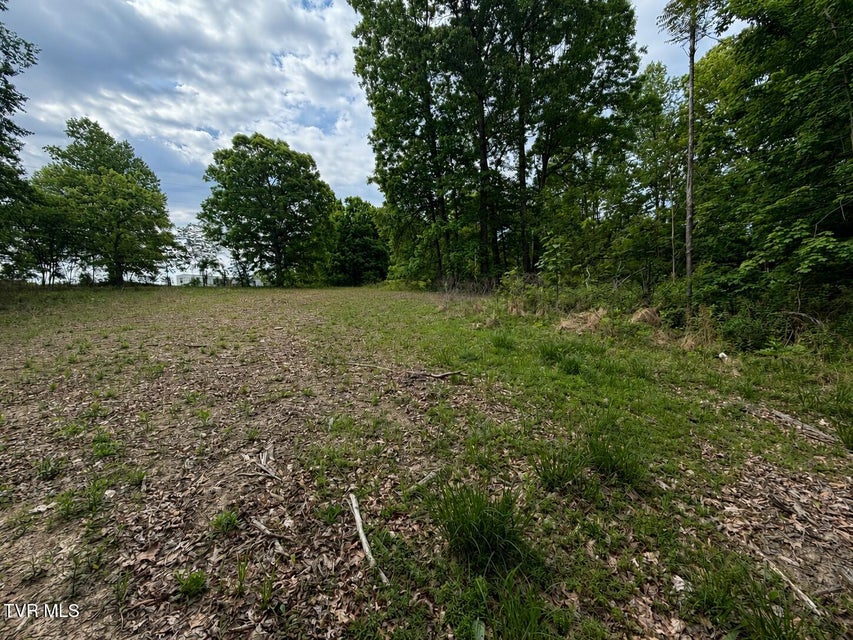 Photo #3: 955 Old Hall Road