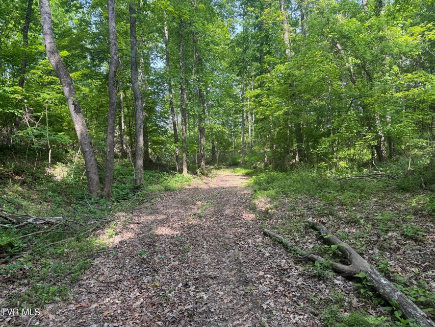Photo #11: 955 Old Hall Road