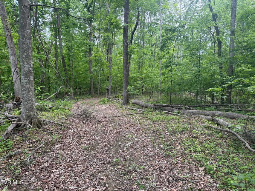 Photo #12: 955 Old Hall Road