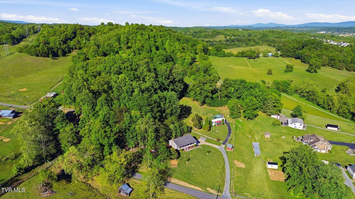 Photo #37: 21377 Tranbarger Road