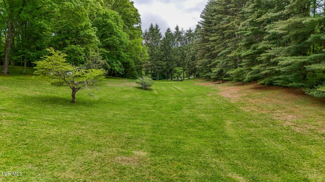 Photo #78: 11066 Mount Calm Drive