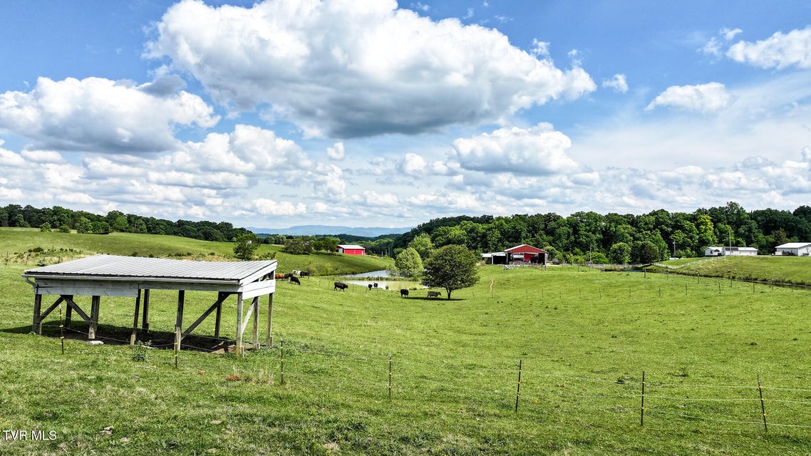 Photo #11: 2430 Brown Springs Road