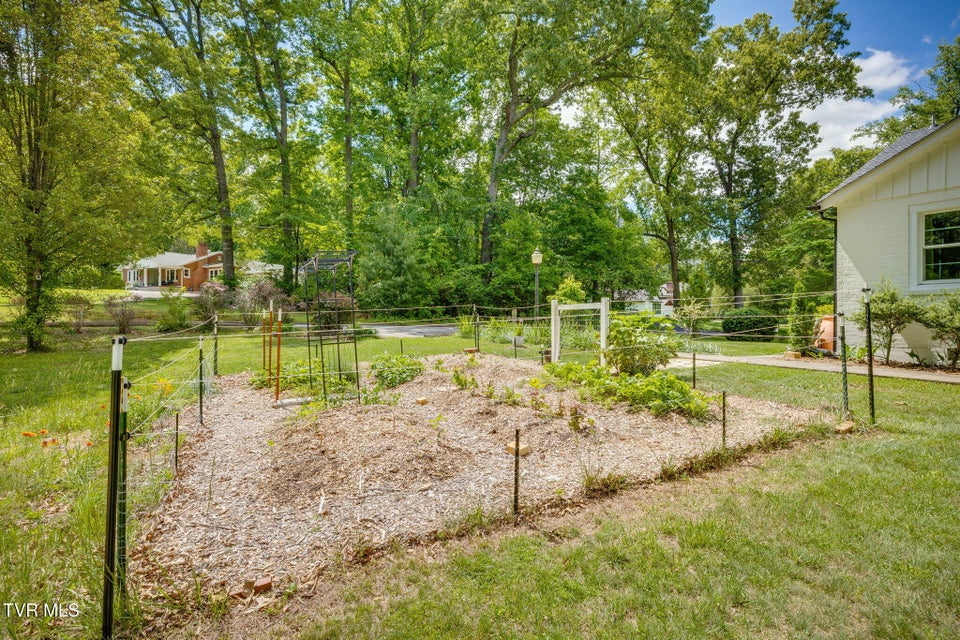 Photo #15: 911 Woodland Avenue