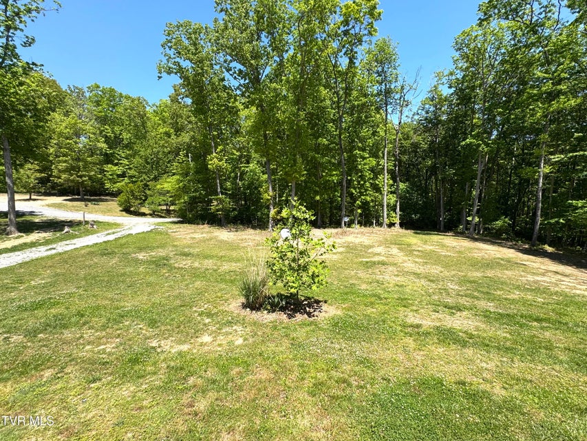 Photo #3: 12580 Star Branch Road