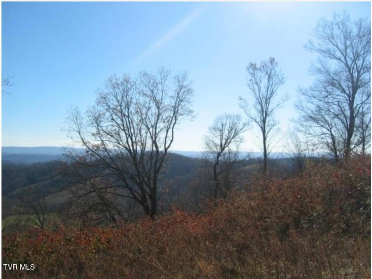 Photo #4: Tbd Bailey Cemetery Road