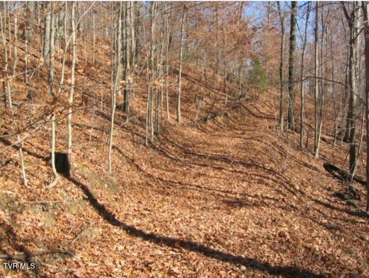 Photo #2: Tbd Bailey Cemetery Road