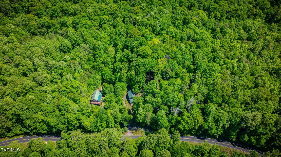 Photo #47: 497 Lakeview Drive