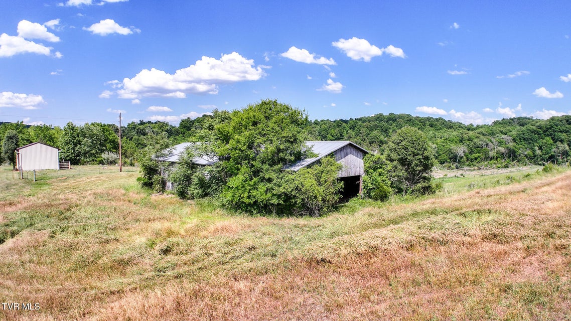Photo #14: Lot 15 Blackberry Lane