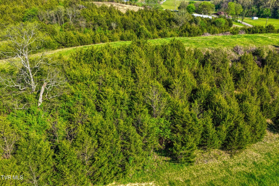 Photo #8: Tbd Cloud Creek Road