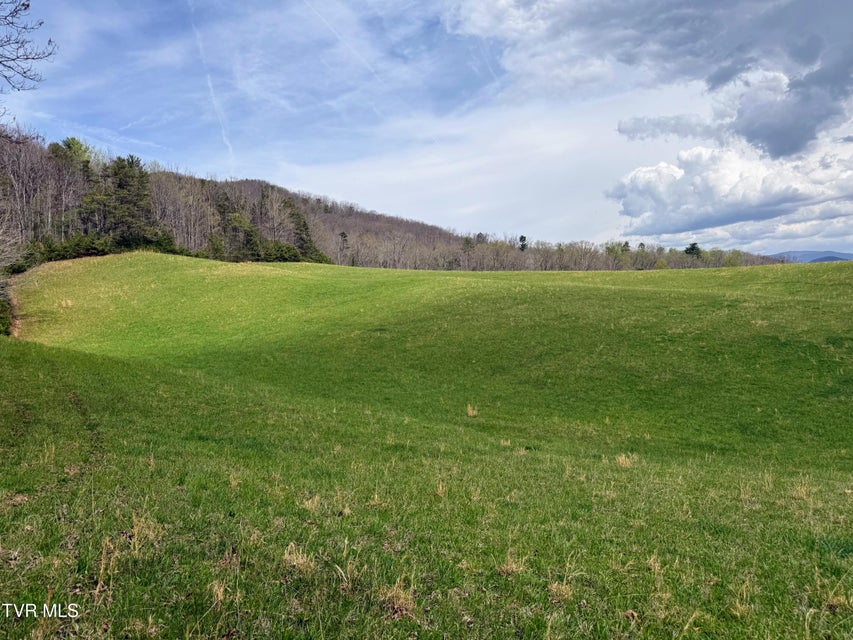 Photo #6: 17/Ac Tbd Houston Valley Tract 1a Road