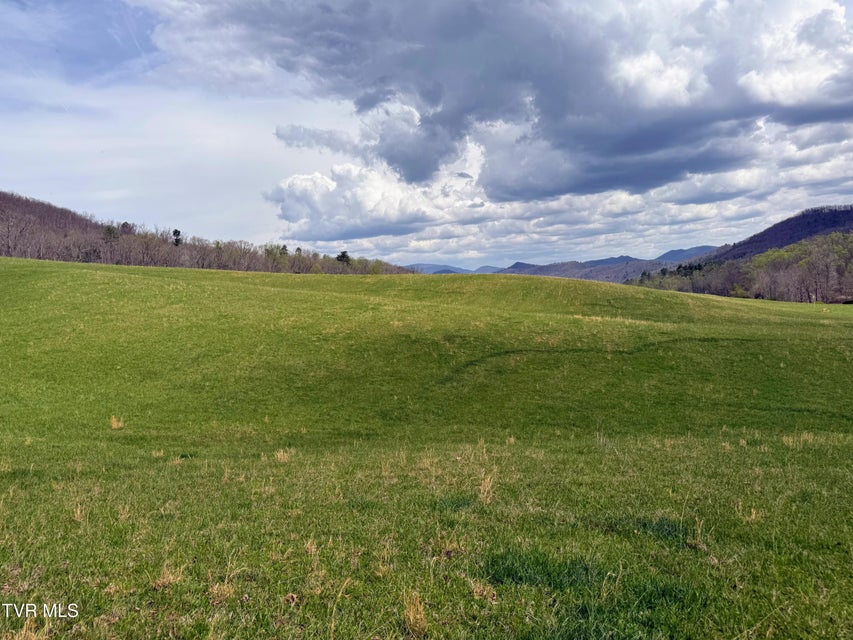 Photo #7: 17/Ac Tbd Houston Valley Tract 1a Road