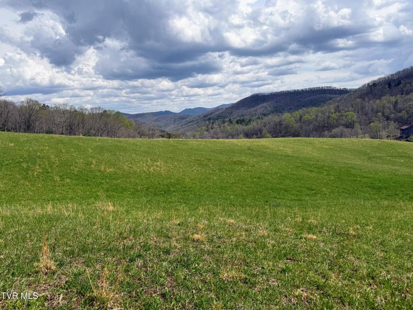 Photo #8: 17/Ac Tbd Houston Valley Tract 1a Road