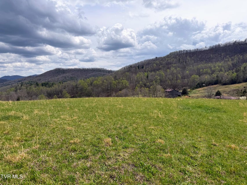 Photo #13: 17/Ac Tbd Houston Valley Tract 1a Road