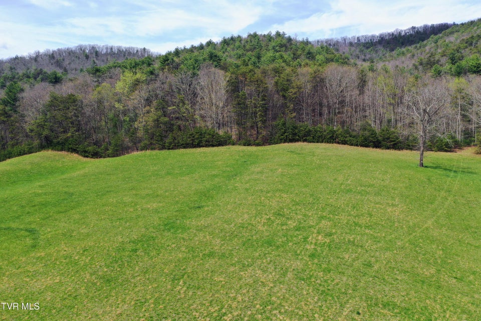 Photo #14: 17/Ac Tbd Houston Valley Tract 1a Road