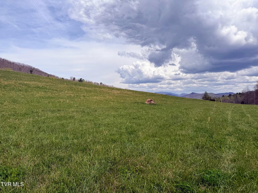 Photo #19: 17/Ac Tbd Houston Valley Tract 1a Road