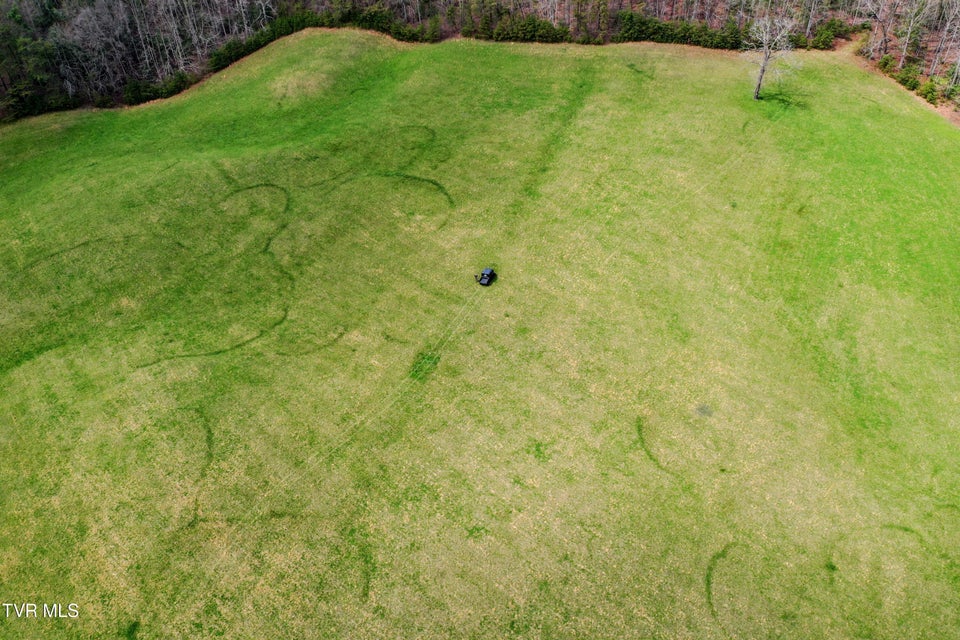 Photo #4: 17/Ac Tbd Houston Valley Tract 1b Road
