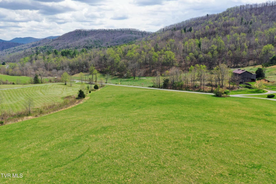 Photo #8: 17/Ac Tbd Houston Valley Tract 1b Road