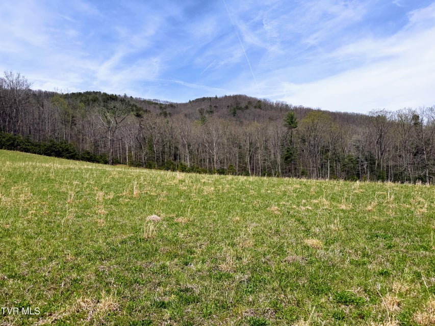 Photo #10: 17/Ac Tbd Houston Valley Tract 1b Road