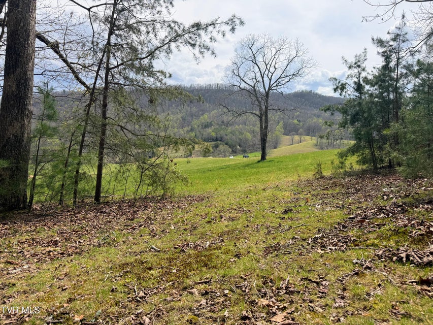 Photo #11: 17/Ac Tbd Houston Valley Tract 1b Road