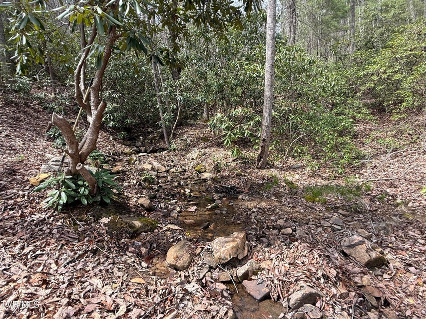 Photo #12: 17/Ac Tbd Houston Valley Tract 1b Road
