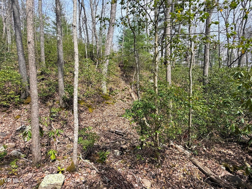 Photo #13: 17/Ac Tbd Houston Valley Tract 1b Road