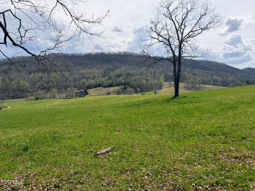 Photo #14: 17/Ac Tbd Houston Valley Tract 1b Road