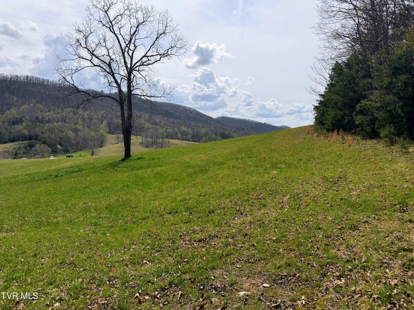 Photo #15: 17/Ac Tbd Houston Valley Tract 1b Road