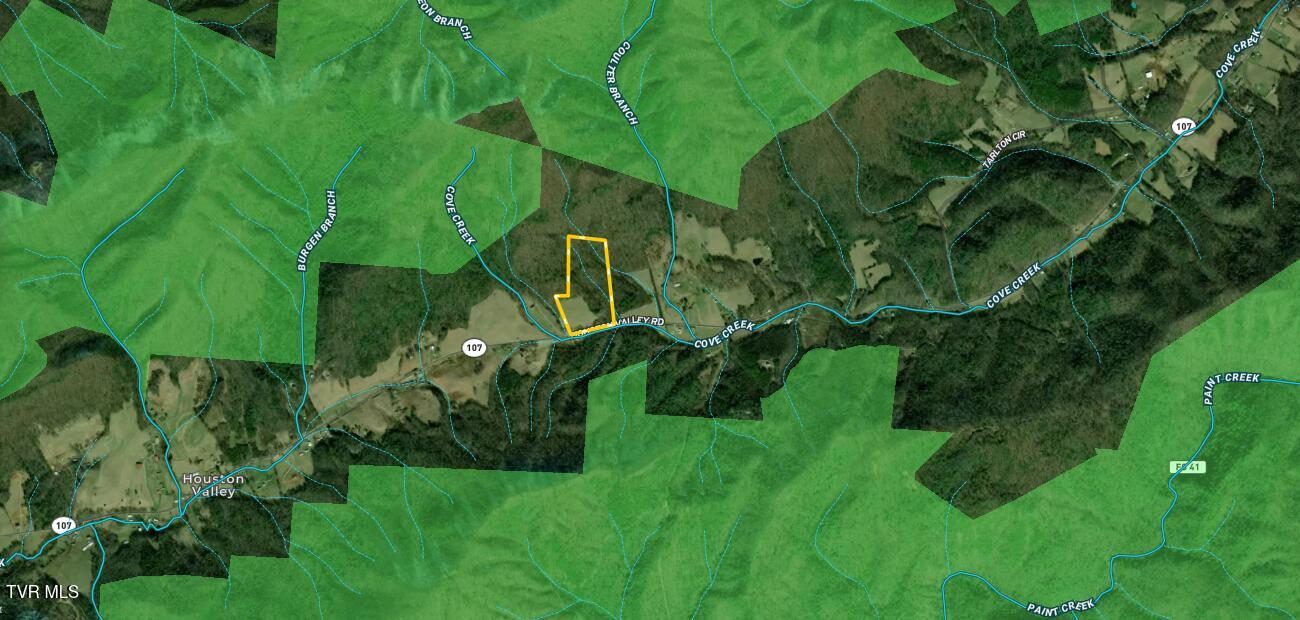 Photo #7: 21/Ac Tbd Houston Valley Tract 3a Road