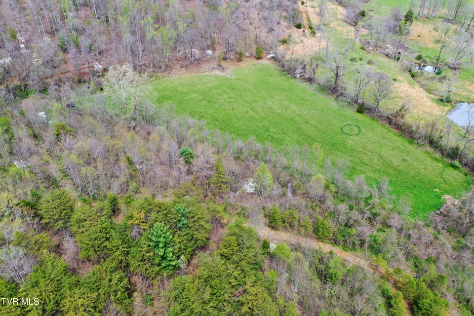 Photo #4: 21/Ac Tbd Houston Valley Tract 3b Road