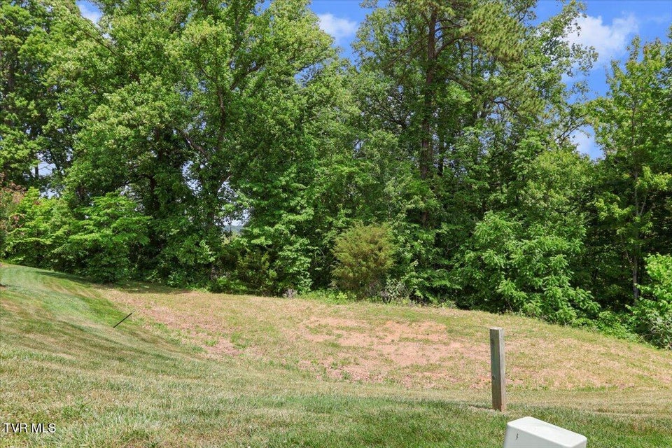 Photo #14: Lot 33 English Ivy Trail