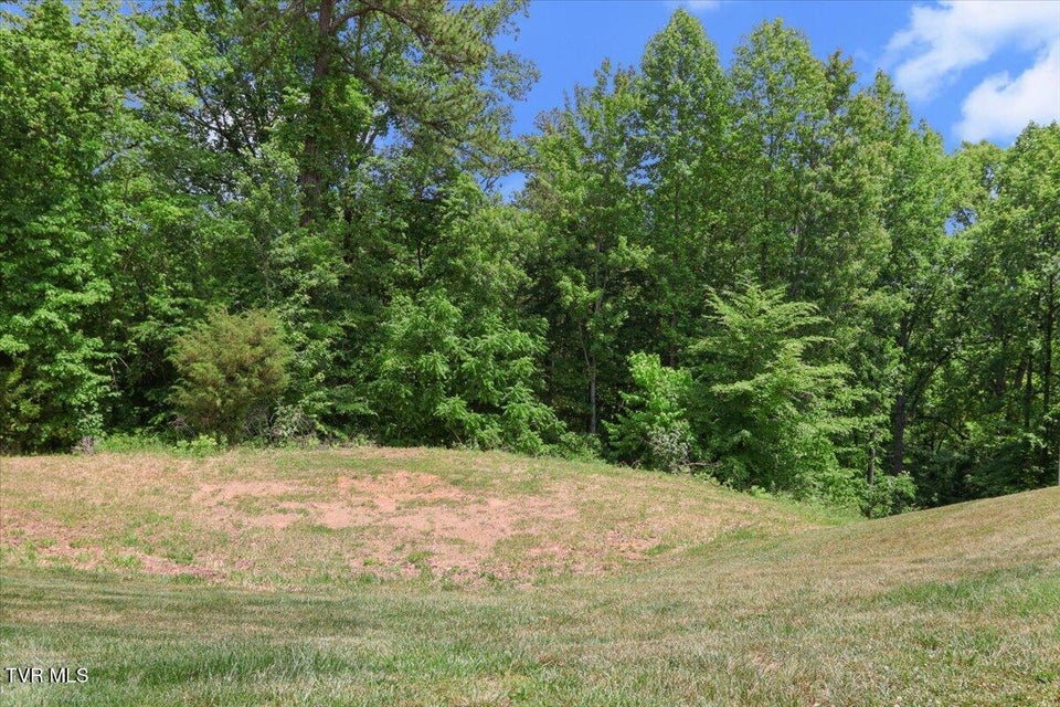 Photo #15: Lot 33 English Ivy Trail