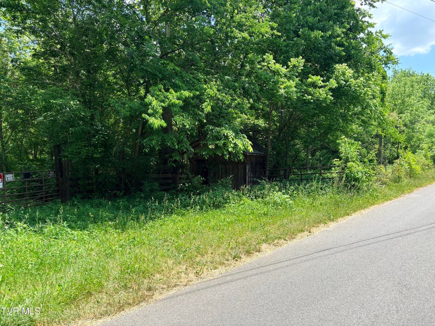 Photo #7: 00 Shackleford Road