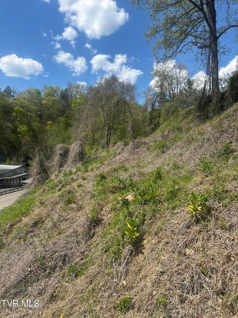 Photo #2: Tbd Dante Mountain Road