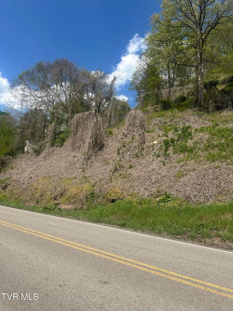 Photo #3: Tbd Dante Mountain Road