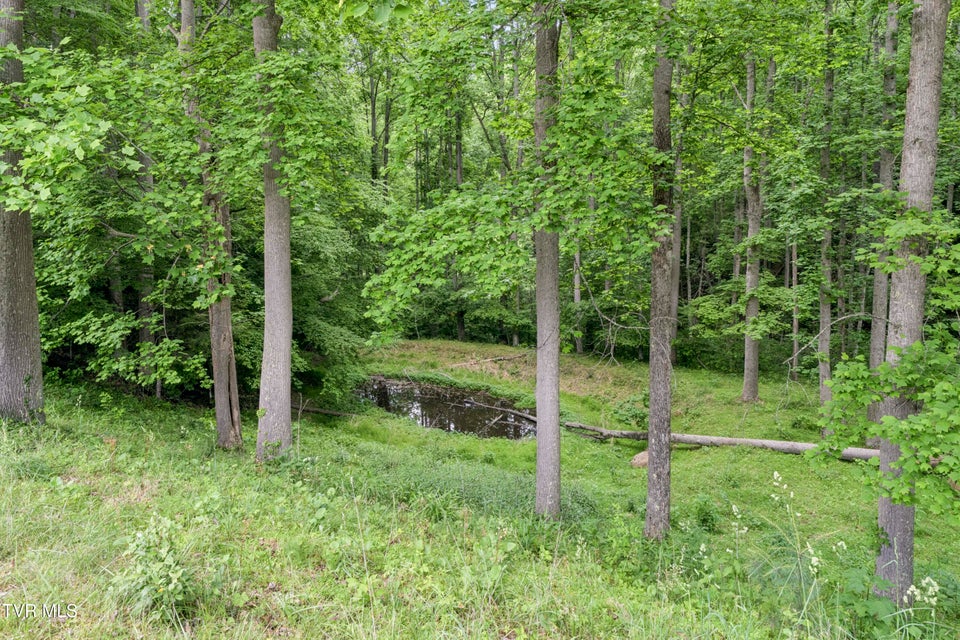 Photo #63: 128 Lum Mcintosh Road