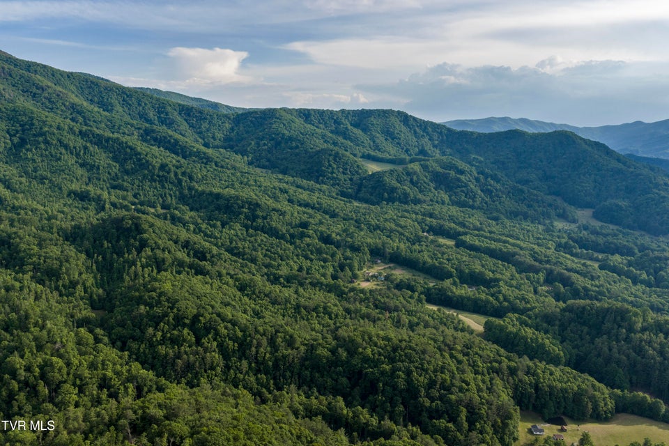 Photo #82: 128 Lum Mcintosh Road