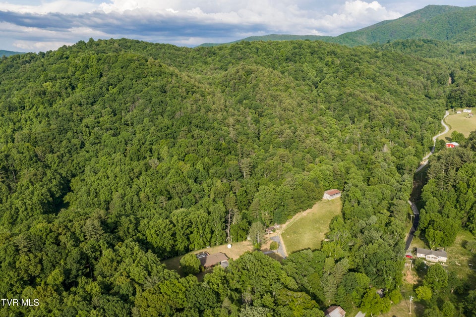 Photo #87: 128 Lum Mcintosh Road