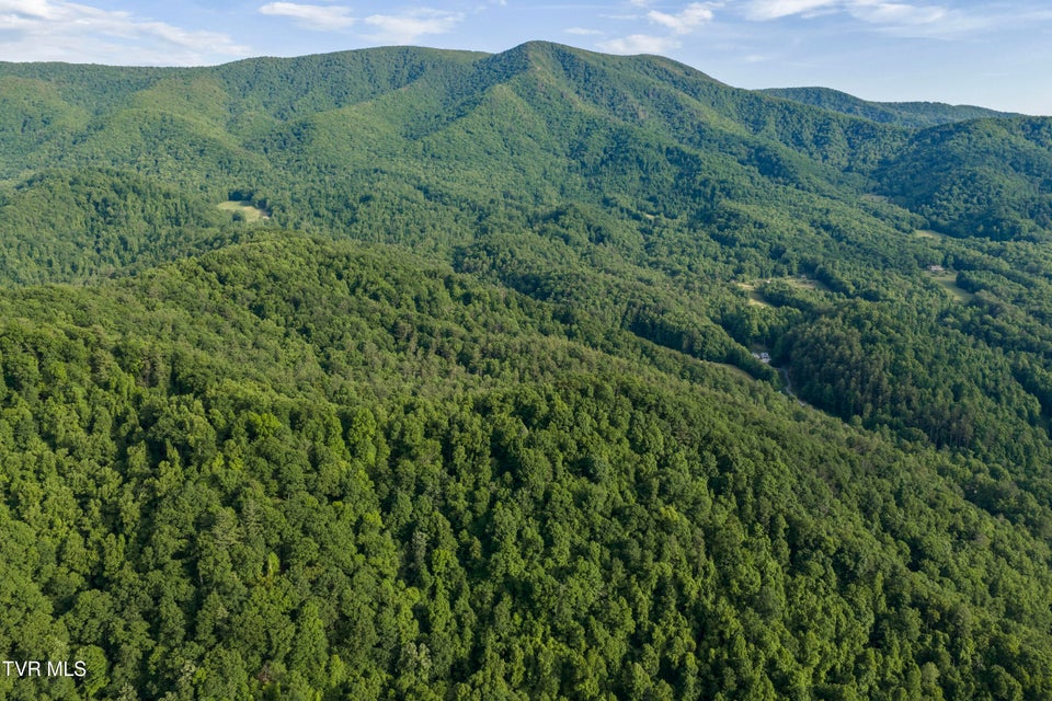Photo #91: 128 Lum Mcintosh Road